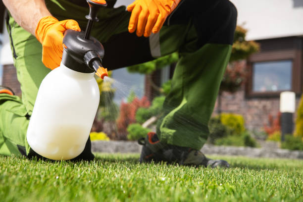 Best Local Pest Control Services  in Falls Creek, PA