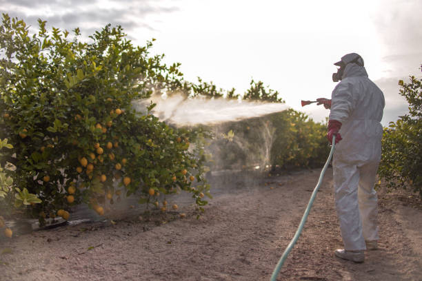 Best Best Pest Control Companies  in Falls Creek, PA