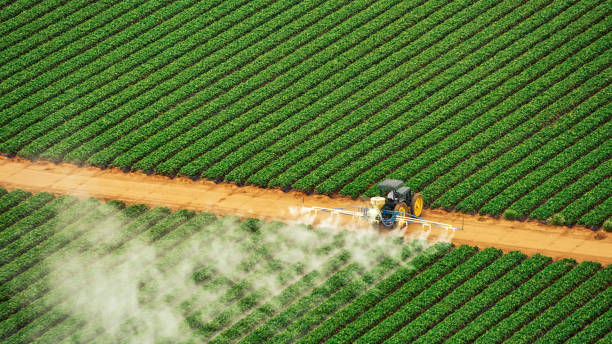 Best Ant Control Services  in Falls Creek, PA