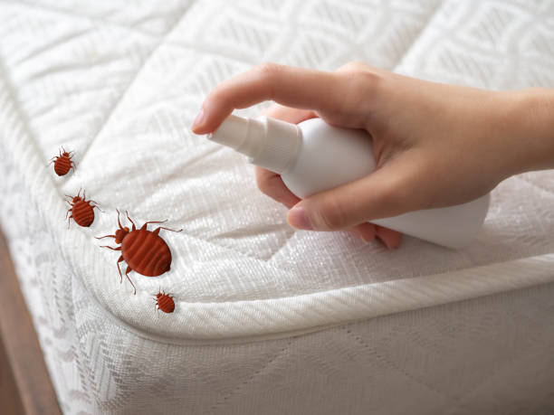 Best Pest Prevention Services  in Falls Creek, PA