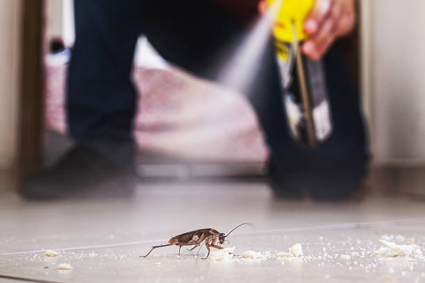 Professional Pest Control in Falls Creek, PA