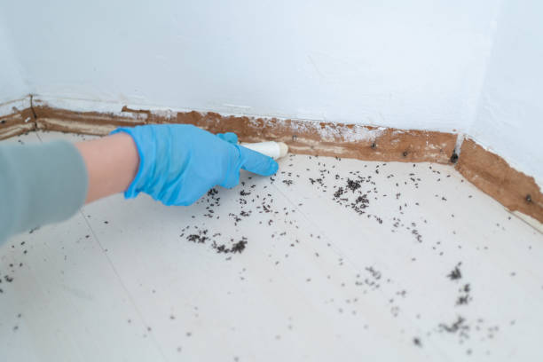 Best Best Pest Control Companies  in Falls Creek, PA